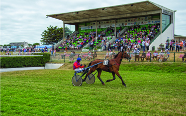 Course hippique "Trophée Vert"