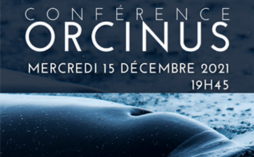 Conférence Orcinus, l'orque et l'océan
