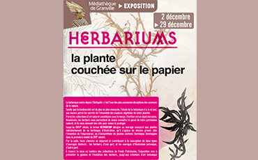 Exposition Herbariums, la plante couchée sur le papier