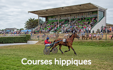 Courses hippiques