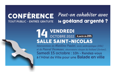 Conférence sur le goéland argenté