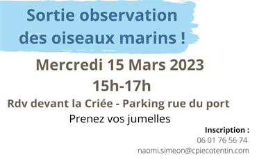 Sortie observation des oiseaux marins