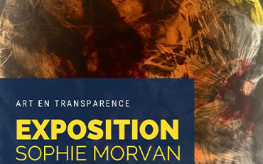 Exposition "Art en transparence" de Sophie MORVAN-TADDEI