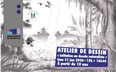 Atelier dessin à la médiathèque