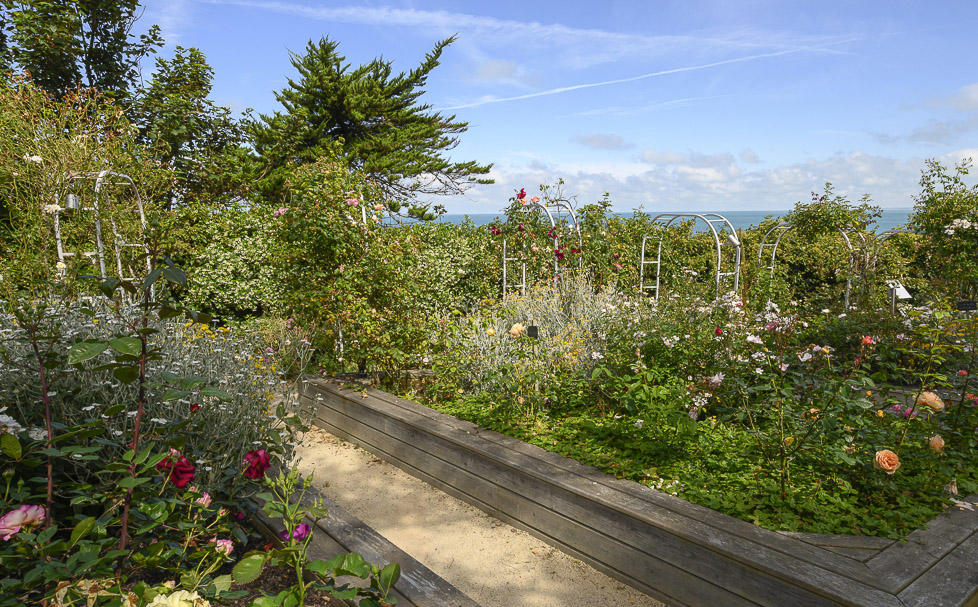 Conférence « Dior, jardins et parfums »