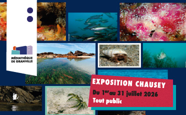 Exposition Chausey, écrin d'une biodiversité unique et fragile